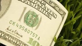 环球投资分享：外汇投资可靠吗？心中还有疑问的快进来！