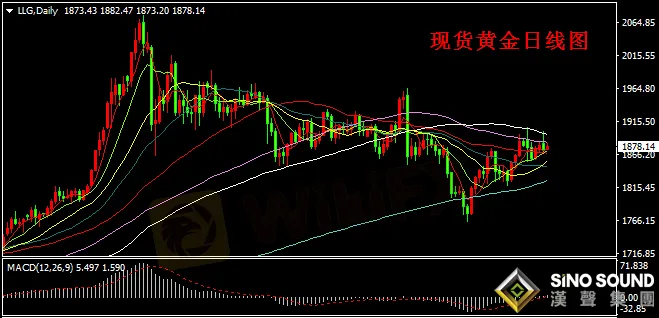 汉声张新才:[12月29日早评]昨日金价双向波动,短期维持盘整态势