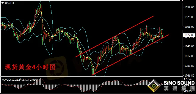 汉声张新才:[12月29日早评]昨日金价双向波动,短期维持盘整态势