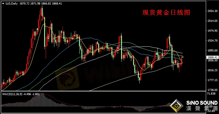 漢聲張新才:[1月21日早評]拜登宣誓就任總統,金價突破1870上方
