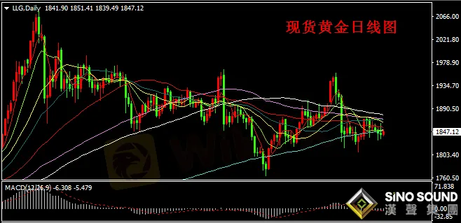 漢聲張新才:[1月29日晚評]繼續關注今晚數據影響,或許刺激金價大幅波動