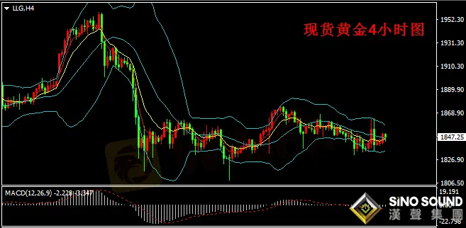 漢聲張新才:[1月29日晚評]繼續關注今晚數據影響,或許刺激金價大幅波動