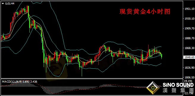 漢聲張新才:[2月2日晚評]日內國際金價上漲受限,短期存在回調整理需求