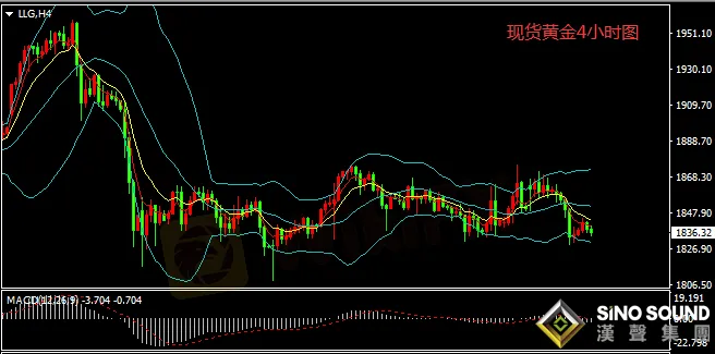 漢聲張新才:[2月3日晚評]國際金價經歷大幅下挫,金價反彈上漲力度欠缺