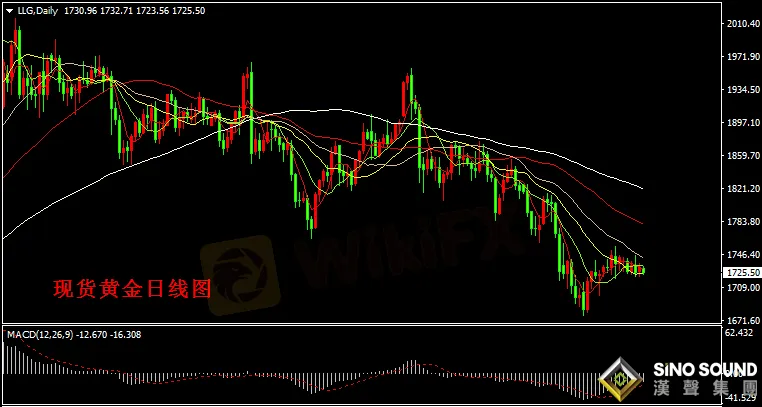 漢聲張新才:[3月29日晚評]金價支撐位有所下移,短線關注1720得失