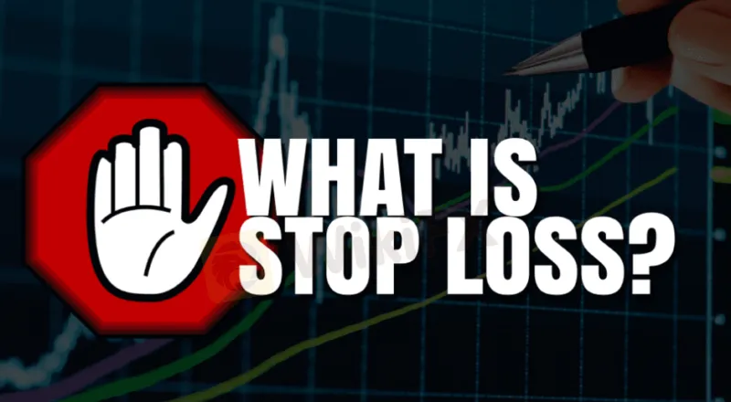 https://www.seainvest.org/