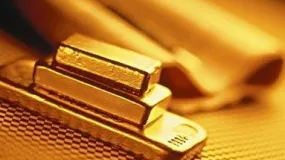 富格林：确保安全出金戒备猫腻