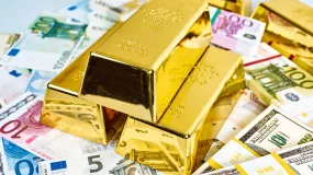 富格林：总结做单技巧阻挠被骗