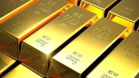 富格林：揭秘黑幕阻挠亏损陷阱