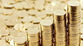 富格林：摸清亏损黑幕及时阻挠