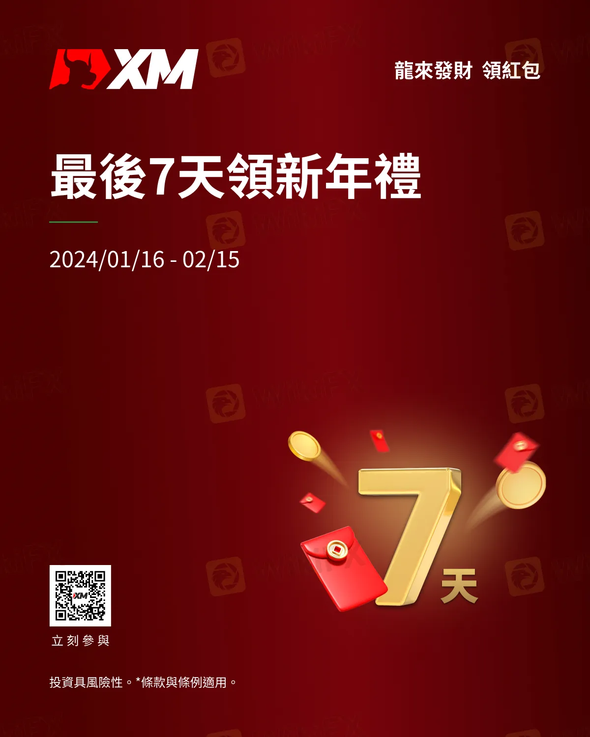 龙年红包雨_7天海报 