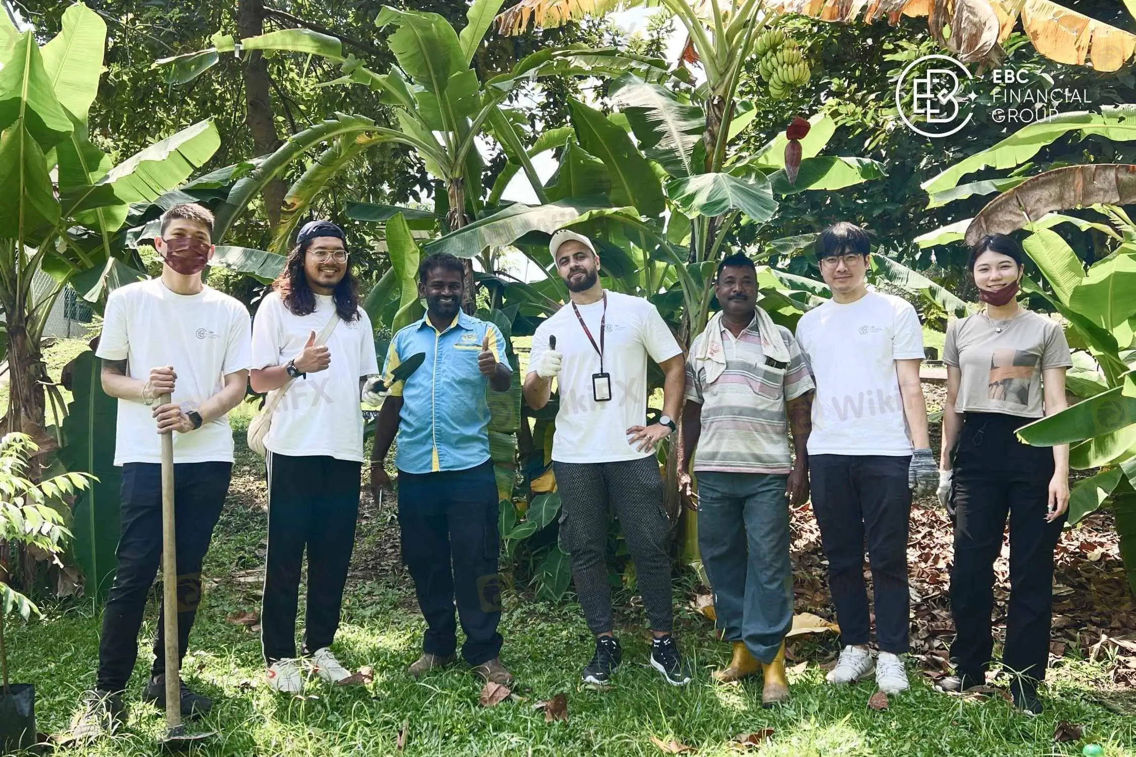 freecompress-freecompress-马来配图-5.jpg freecompress-freecompress-马来配图-5.jpg