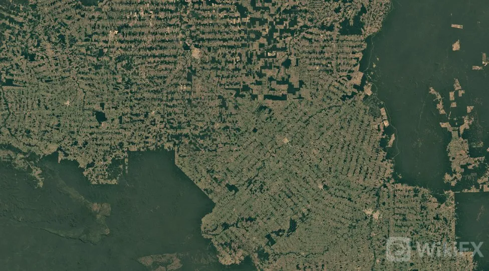 Satellite