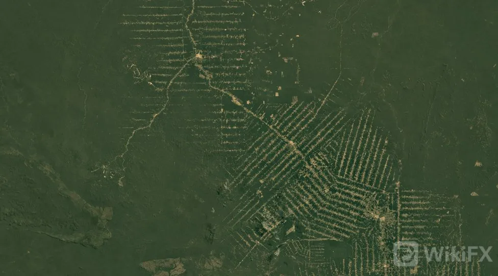 Satellite
