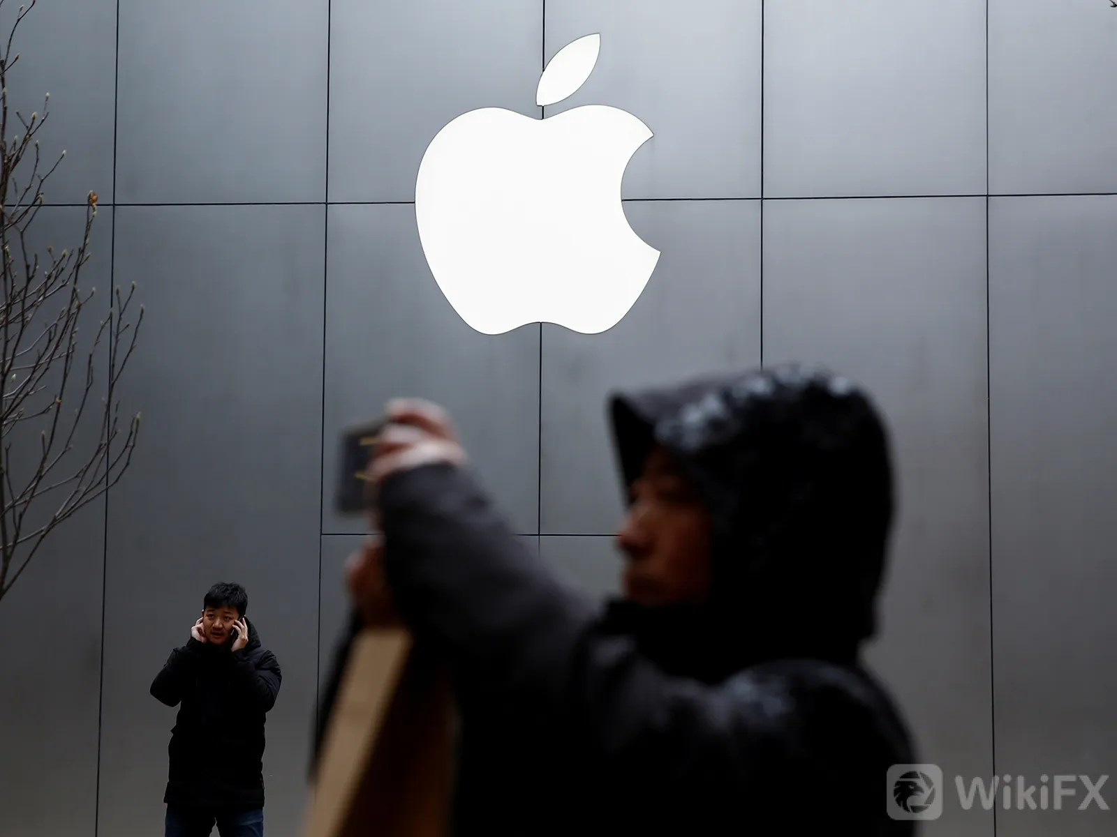 Apple