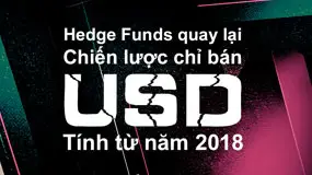 Hedge Funds quay lại chiến lược chỉ bán USD tính từ năm 2018