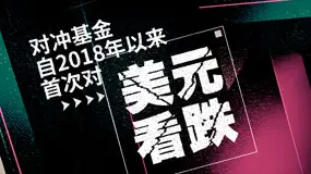 对冲基金自2018年以来首次对美元看跌