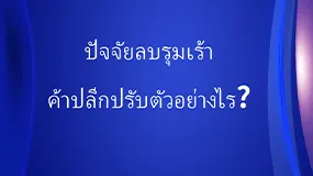 ปัจจัยลบรุมเร้าค้าปลีกปรับตัวอย่างไร?