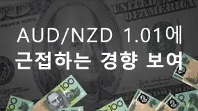 AUD/NZD 1.01에 근접하는 경향 보여