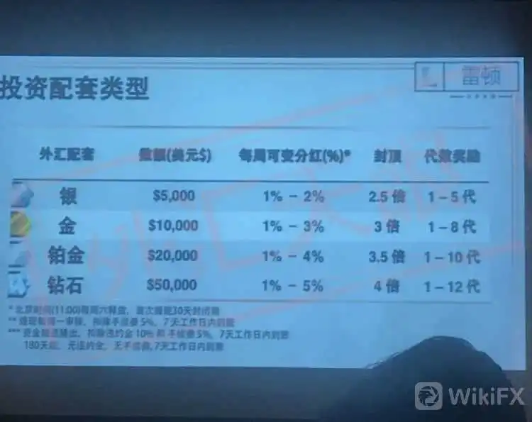 <b>关于Leighton雷顿</b>