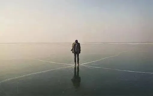 投資者7 image.png