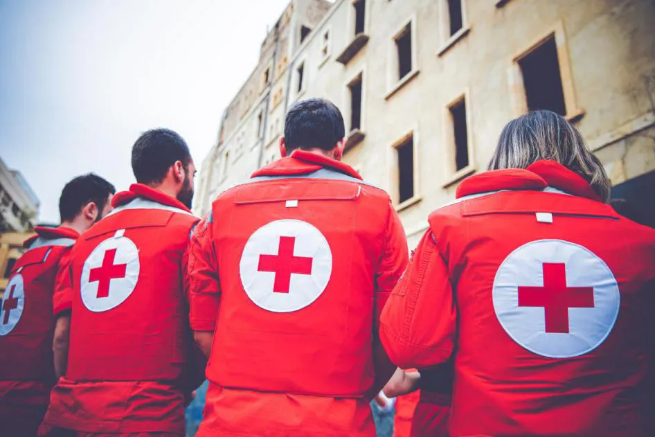 7.png 7.png