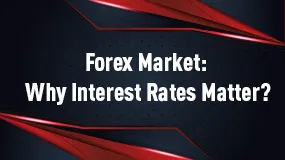Forex Market: Why Interest Rates Matter?