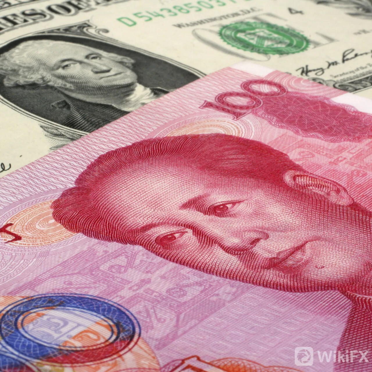 yuan-12593694_1x1.jpg