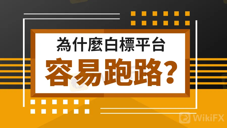 為什麼白標平台容易跑路.jpg