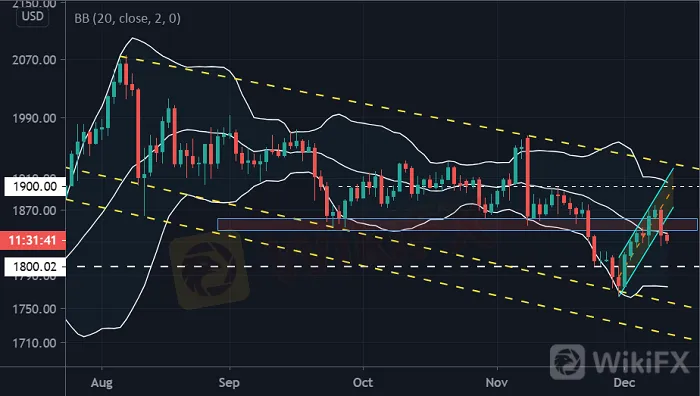 黄金价格走势分析:美元多头发扬日拱一卒精神,金价续涨希望瞬间被浇灭!