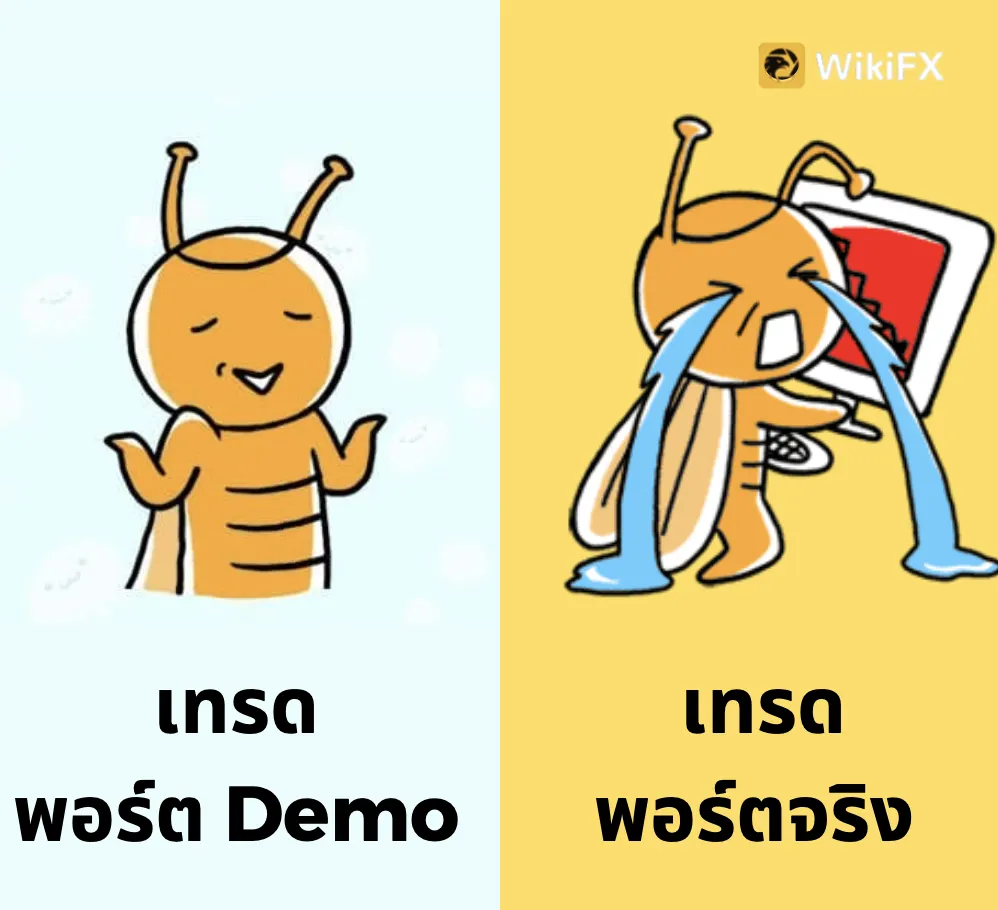Screen Screen