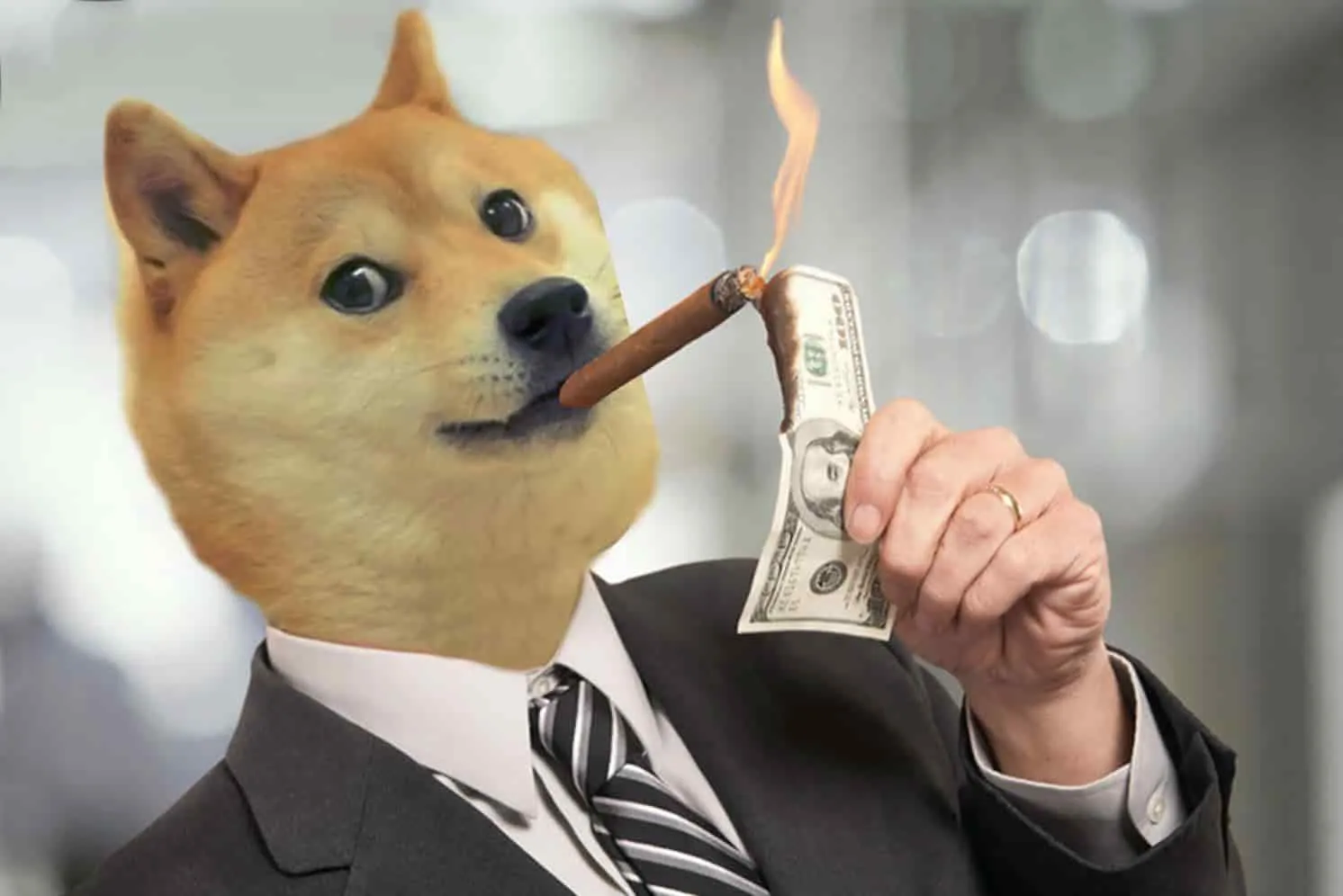 1.jpg 1.jpg