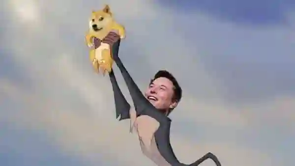 1.jpg 1.jpg