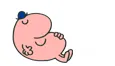 l.PNG