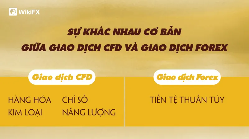 Kien-thuc-can-ban-Mar-08-3.jpg Kien-thuc-can-ban-Mar-08-3.jpg