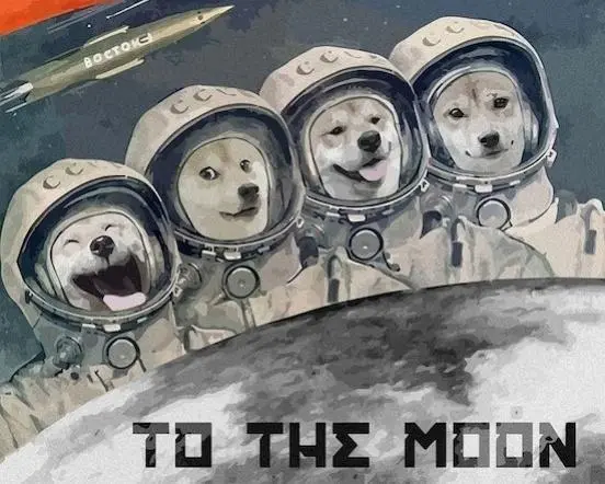 dddd.jpg dddd.jpg