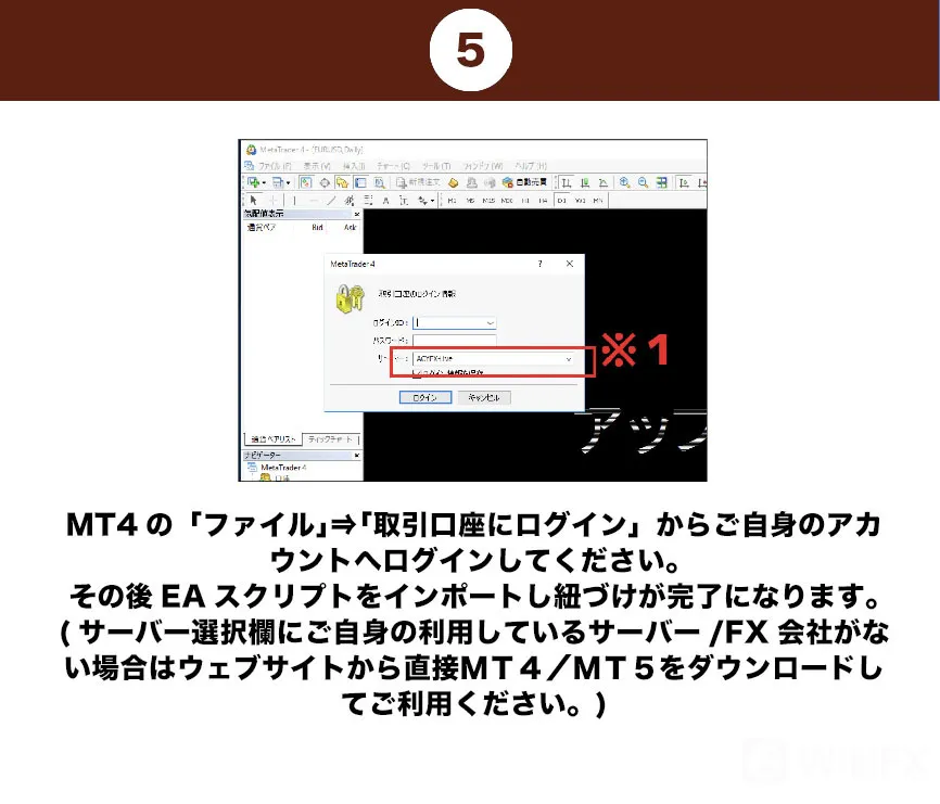 04-6.jpg