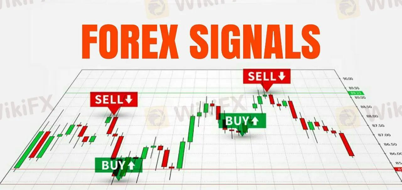 Forex signals deals