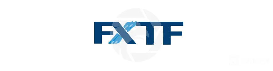 【初心者向き】MT4でEA自動売買を利用可能なFX会社について