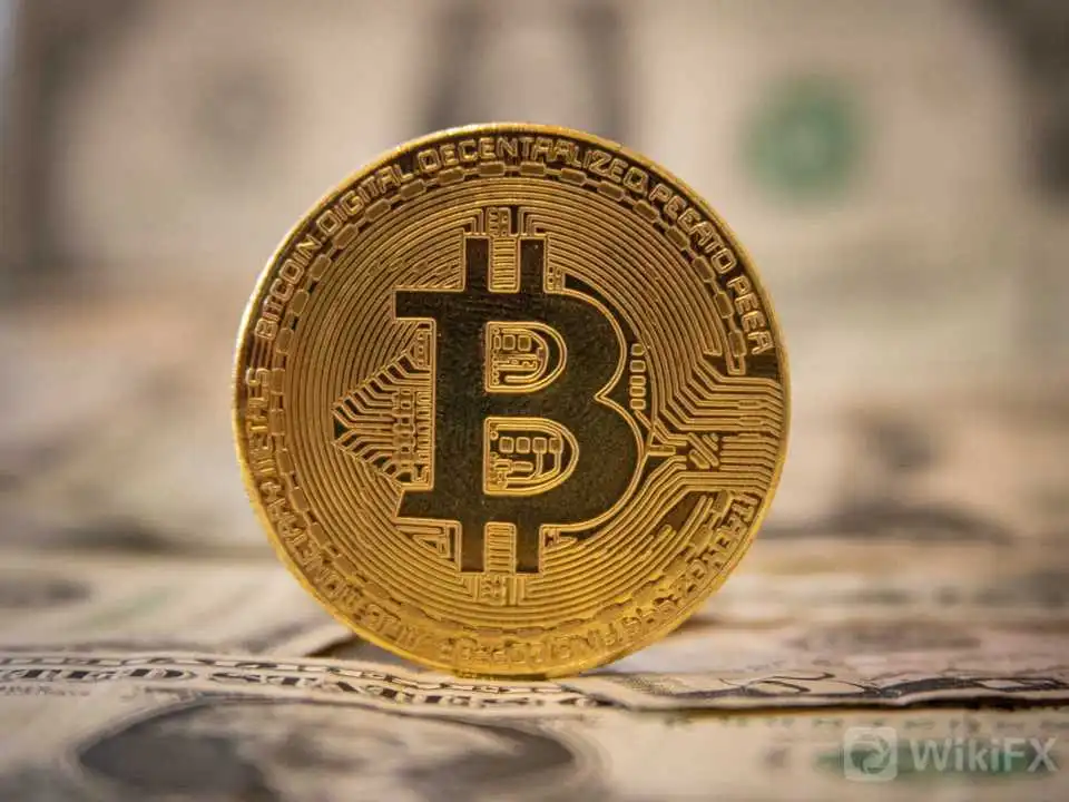 Advertisement ビットコイン支払いに続々参入