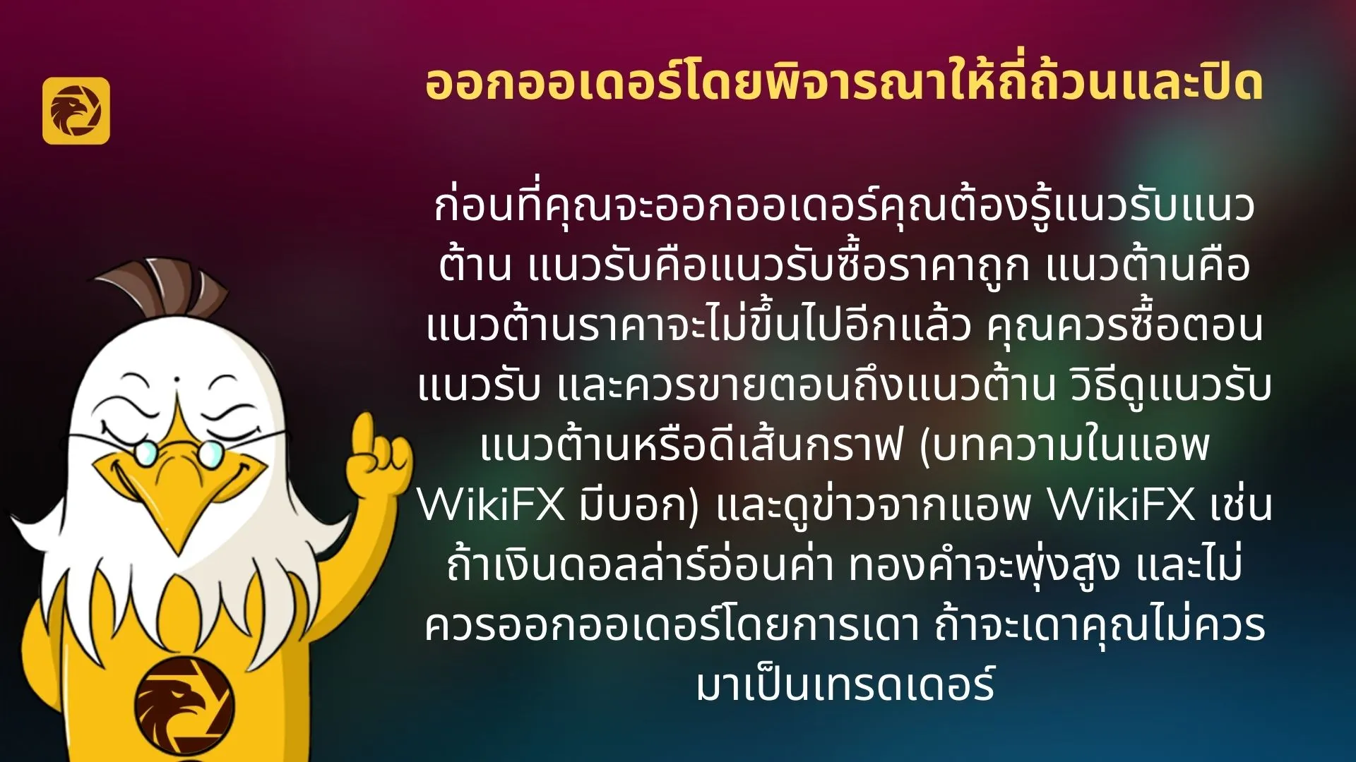 11.jpg 11.jpg