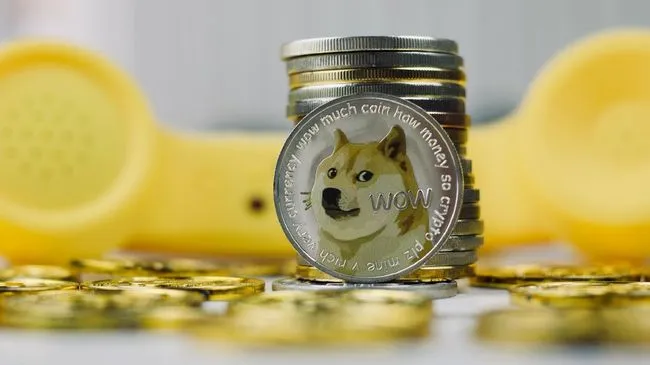 dogecoin-coin_169.jpeg dogecoin-coin_169.jpeg