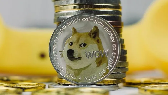 dogecoin_169.jpeg dogecoin_169.jpeg