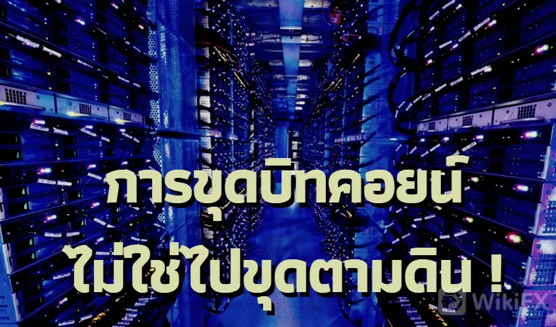 1.png 1.png