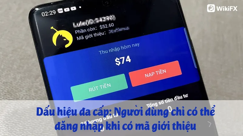 Scam Scam