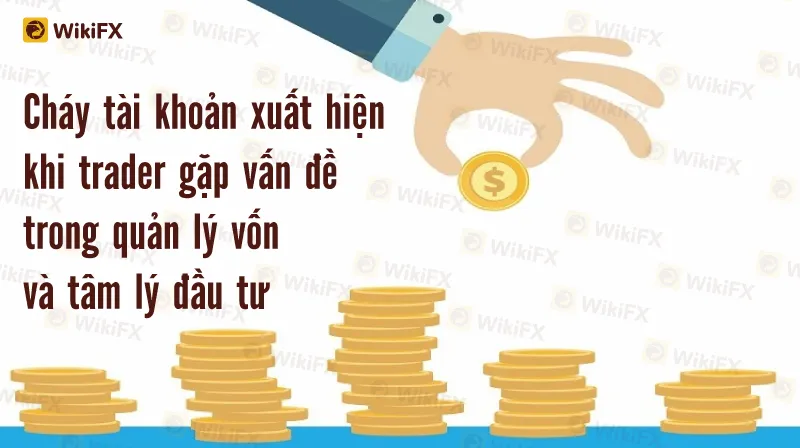 Kinh-Nghiem-Dau-Tu-May-07-3.jpg Kinh-Nghiem-Dau-Tu-May-07-3.jpg