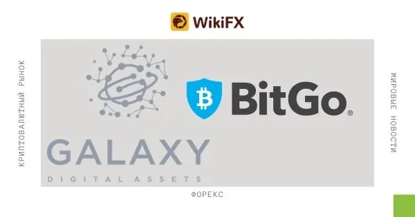 galaxy galaxy