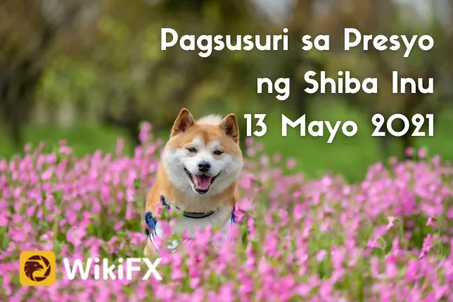 Pagsusuri Pagsusuri