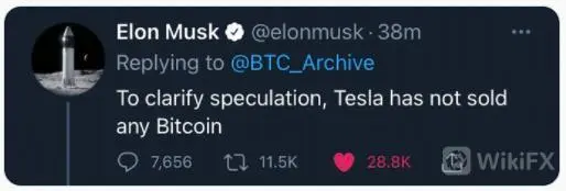 BTC/USD 