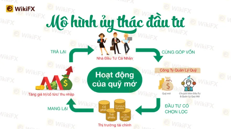 Kinh-Nghiem-Dau-Tu-May-21-2.jpg